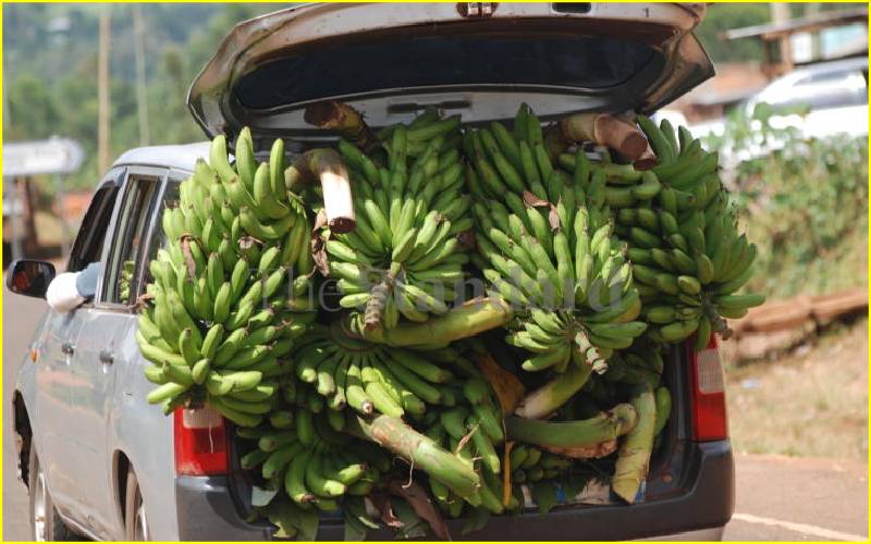 Probox ferrying bananas in Keumbu, Kisii.
