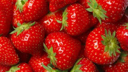 The ABCD of planting strawberries