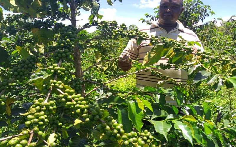 There are gains, dilemma in coffee reforms and more can be done