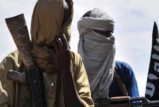 15 militants killed in anti-jihadist operation in Mali: army