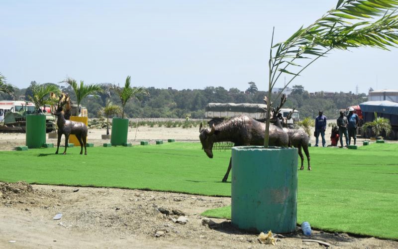 Beauty from former Kibarani eyesore