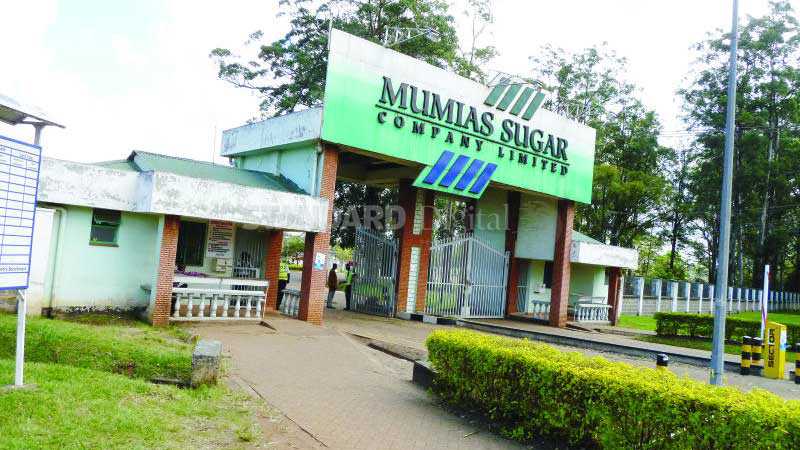 Cede stake in Mumias, leaders now tell state