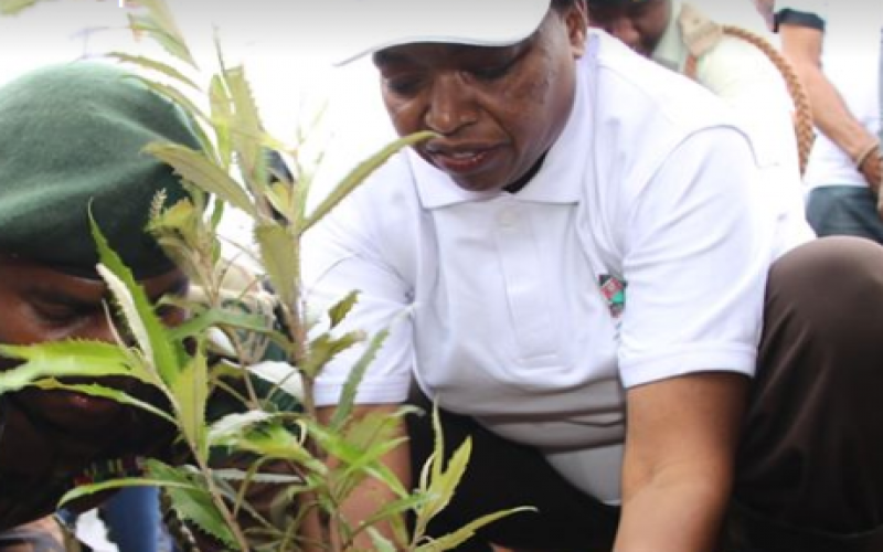 CS Juma hints at diplomatic plan to boost forest cover