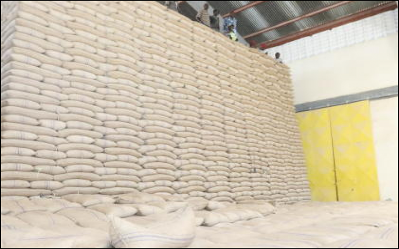 Farmers: Don’t import, we have enough maize