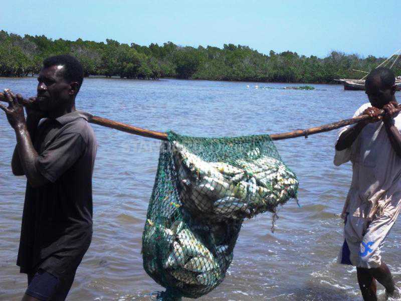 Fishermen urged to get smart card for easy identification