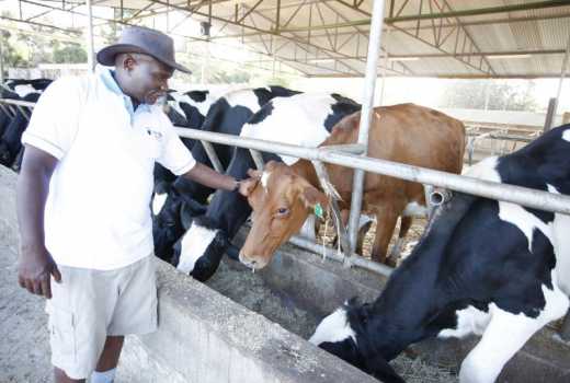 Former MP Magara: How I run my modern dairy unit to milk more profits