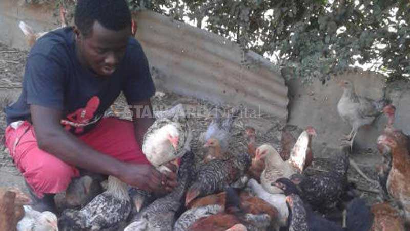 I quit teaching, now I reap big from poultry farming