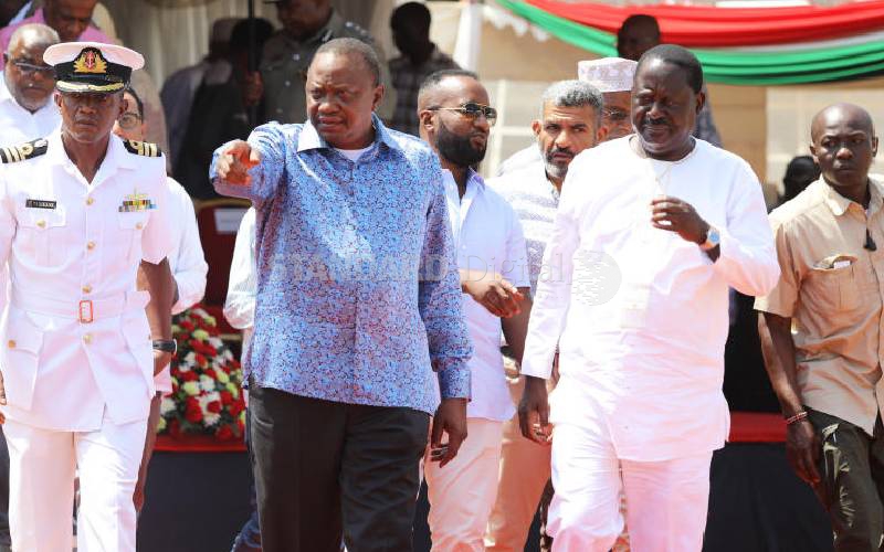 Inside Raila party’s push for powerful PM, leaner Senate