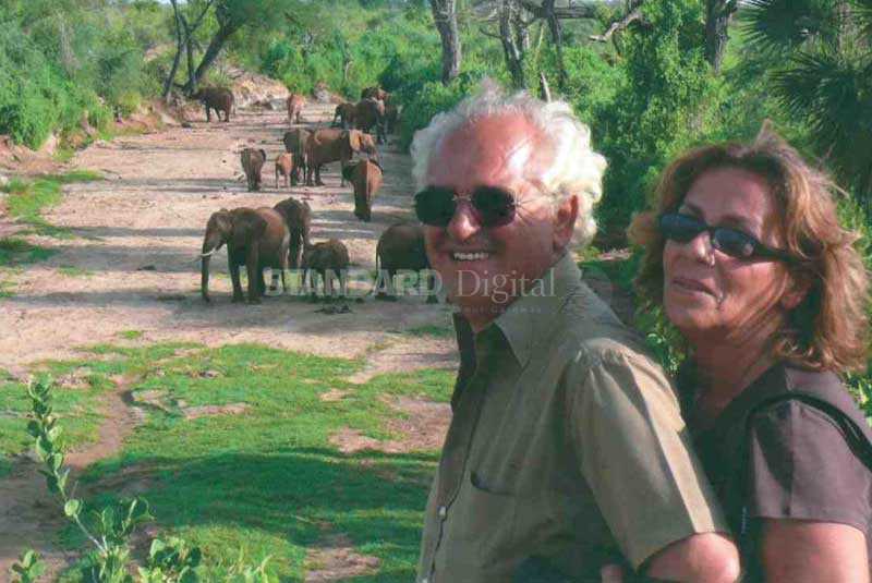 Italian couple falls in love with Kenyan elephants