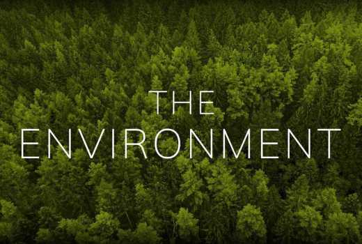 Let's prioritise environmental conservation