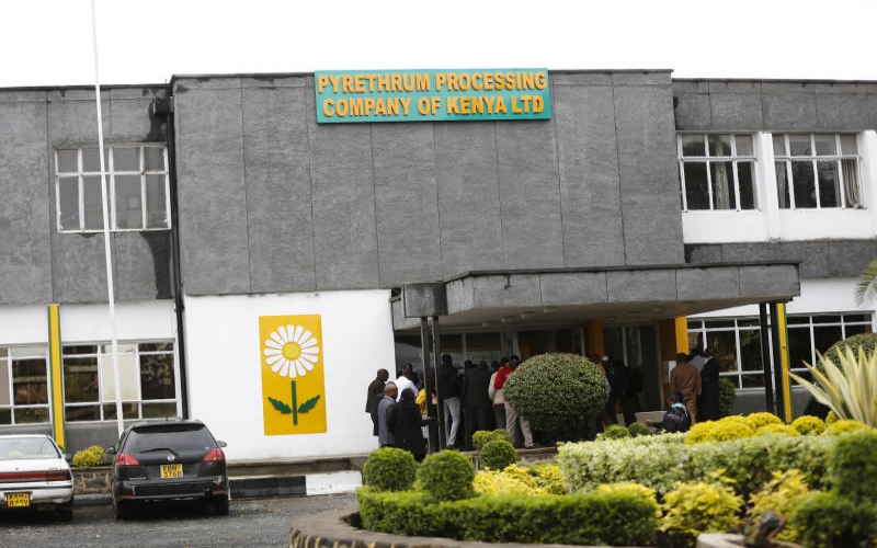 Pyrethrum firm stares at closure amid graft claims