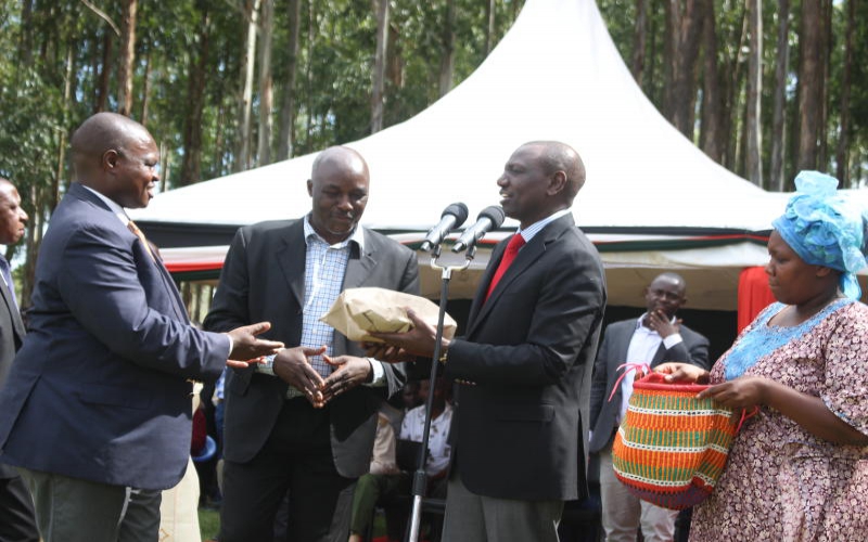 Questions over delay of mega projects launched by Ruto in Nyamira, Kisii