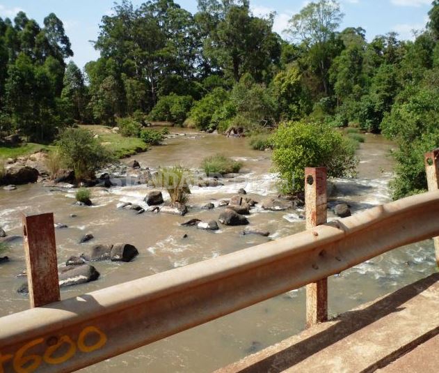 Students drown as they take ‘selfies’