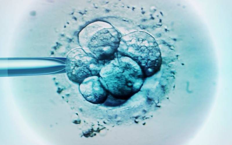 Study: Children born through IVF more likely to develop cancer