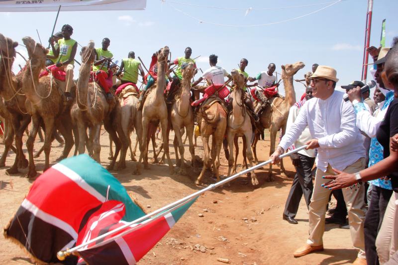 Thrills and spills as camel derby opens county to visitors