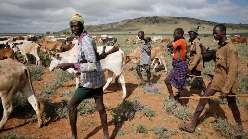 Two killed during cattle rustling incident in Samburu