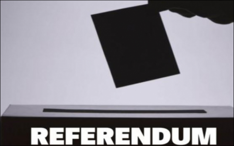 While reforms are timely, calls for referendum are misguided
