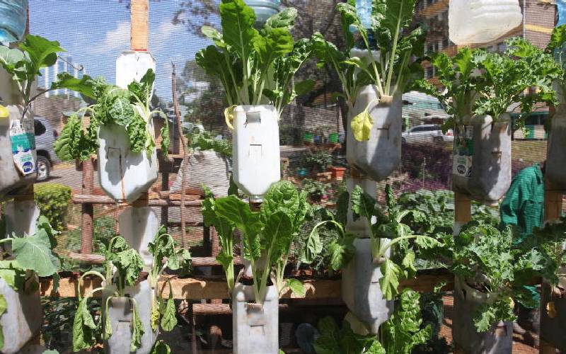 Tower garden is smart idea for your tiny space