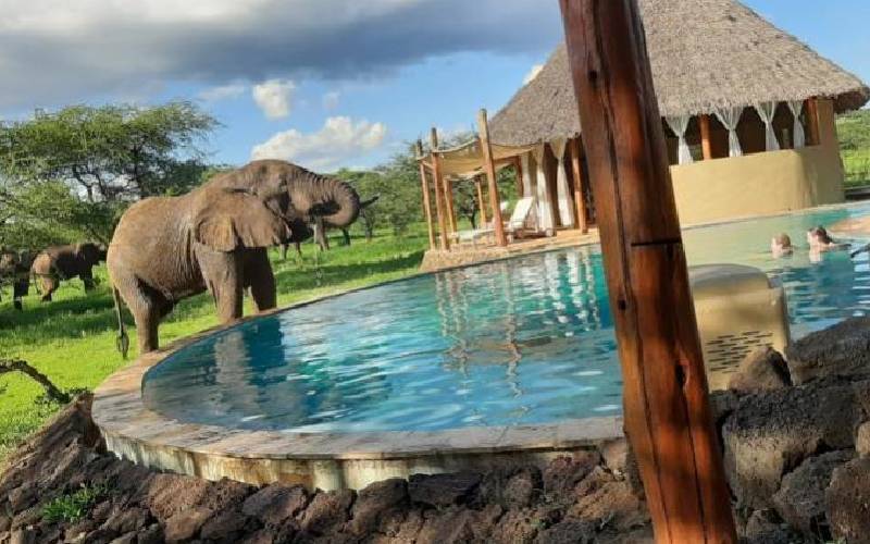 Tsavo West: Rich in animals and history