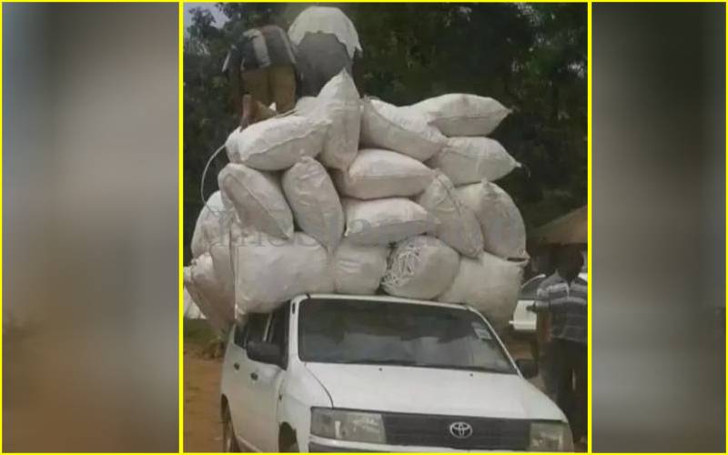 Probox ferrying miraa, 2017. 