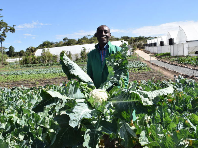 Farm Manager, Mr Timothy Mwangi