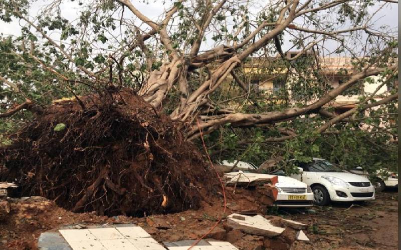 Cyclone Fani kills at least 12 in India before swiping Bangladesh - The  Standard