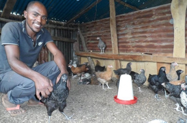 We don‘t regret quitting our jobs for eggs and milk