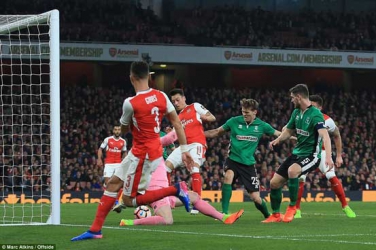 Wenger avoids more misery as Arsenal see off Lincoln