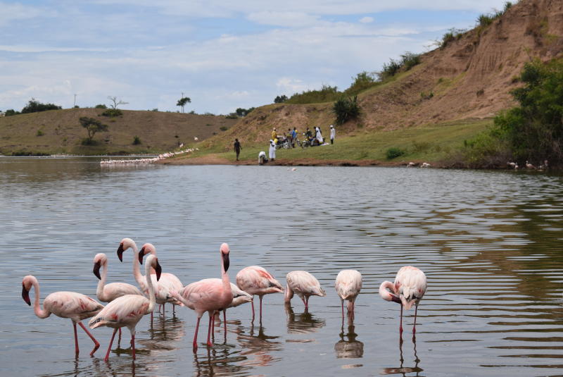 Western Kenya’s ‘acres of diamonds’ cry out for tourists