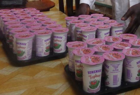 yogurt making machine in kenya