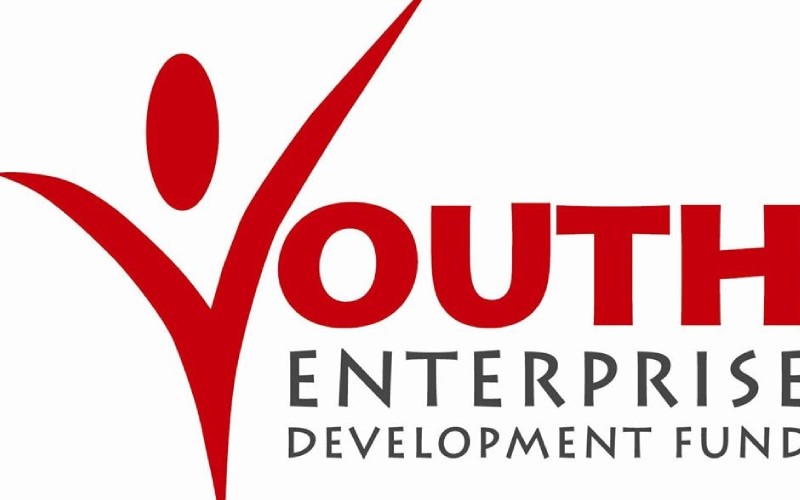 Youth Fund eyes Sh17b loan book