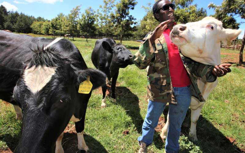 Why inbreeding is not good for future flock - FarmKenya Initiative