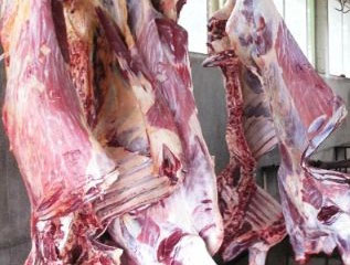 Police intercept 120kg of zebra meat in Narok
