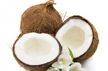 Why coconut farming is a sleeping giant
