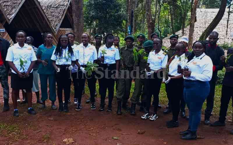 Community Forest Association at Njukiri Forest