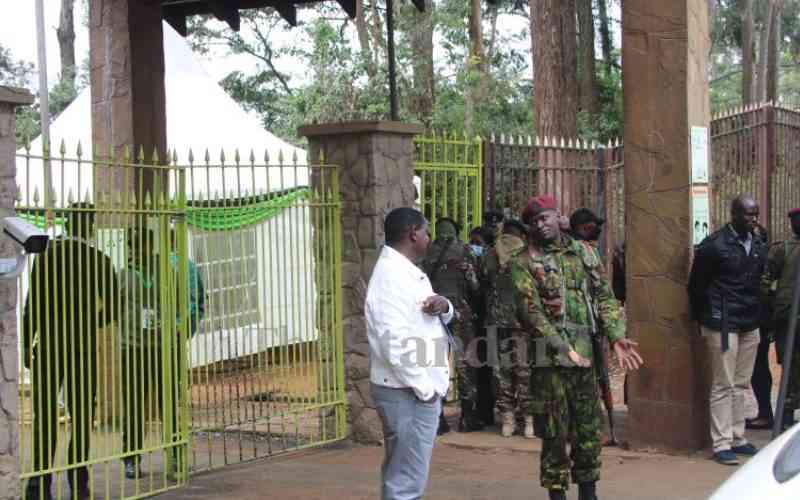 Opiyo Wandayi at the Bomas entrance gates.