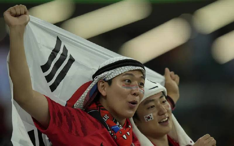 South Korea fans cher Group H match.