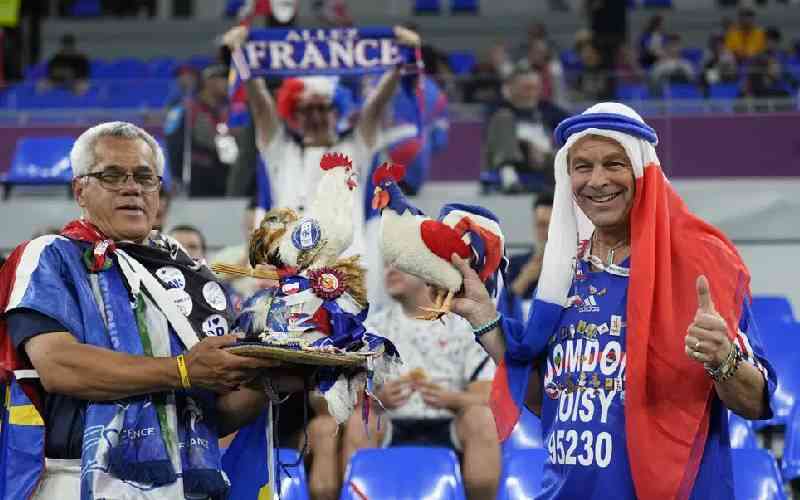 France fans cheer Group D match