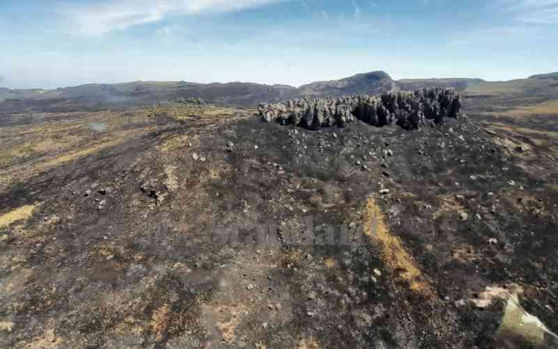 Aberdare Forest wildfires destroys over 30,000 acres
