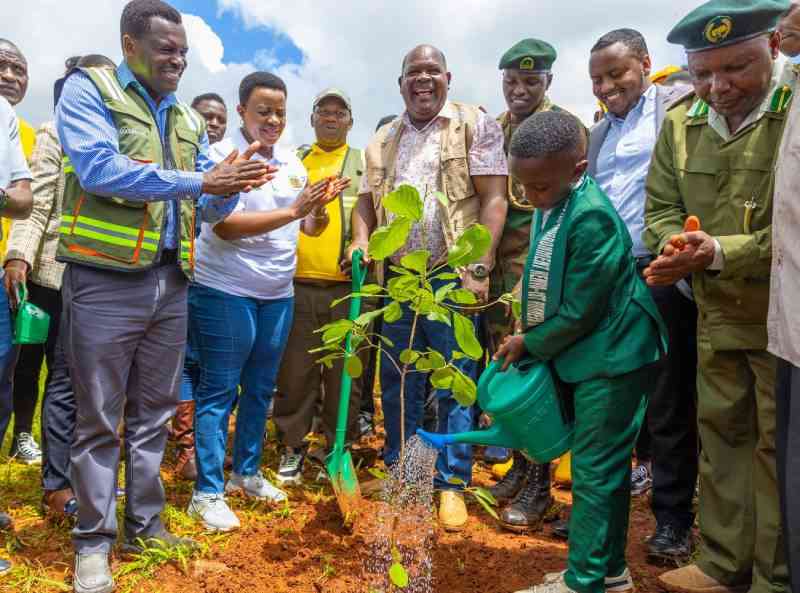 National Tree Planting Day
