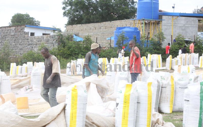  Farmers divided on new prices of maize as cost of production rises