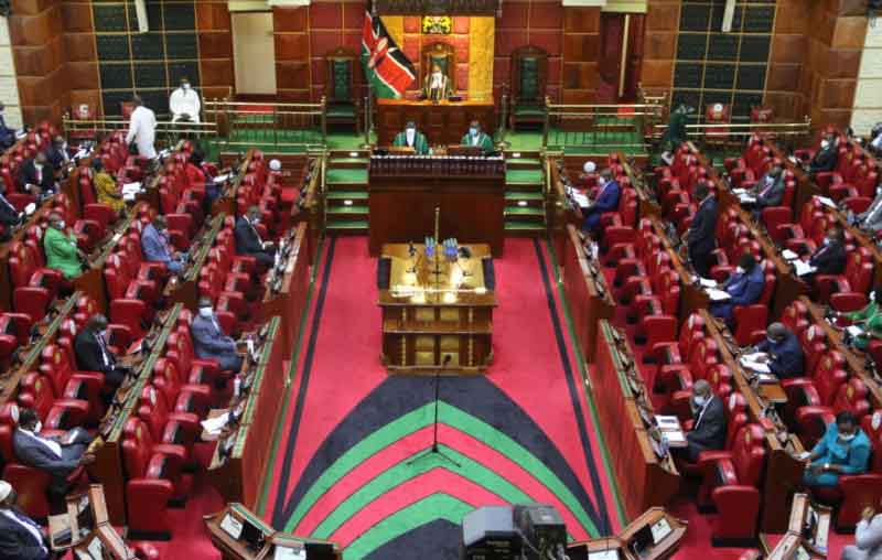 Bunge Chronicles: Climate change and our MPs’ contribution to daily ‘pollution’
