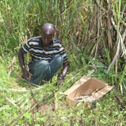 Cane farmer to gift President Kenyatta for reviving Mumias
