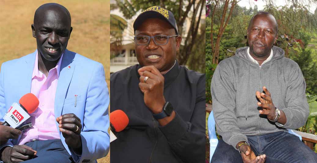 Diaspora candidates set sights on elective seats ahead of August polls