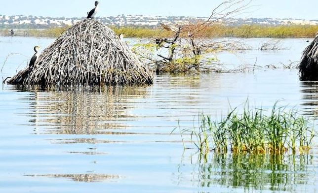 Displaced locals in fear of crocodiles as lake swells