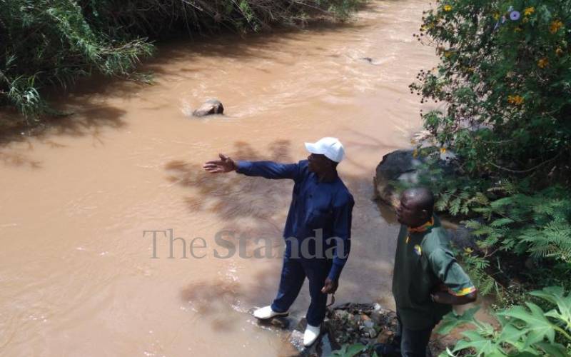 Don’t turn a blind eye to River Yala bodies, State told