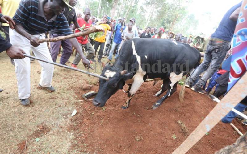 This ritual does not only signify utmost respect,