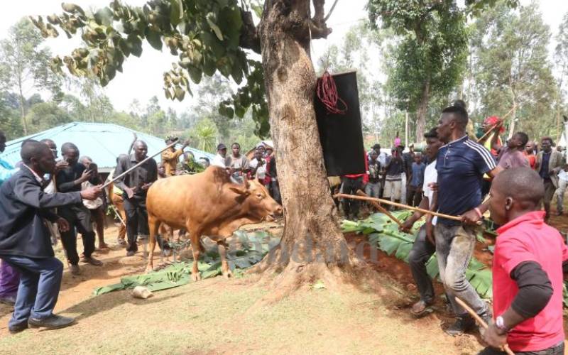 charge towards a fresh mound of soil above...