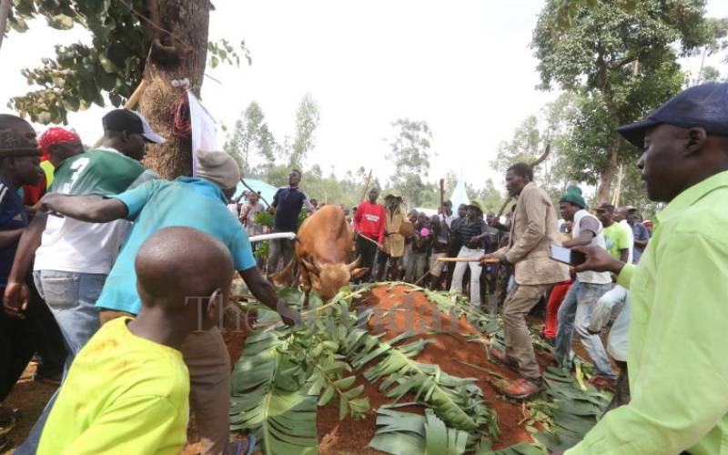 the grave with ferociousness.