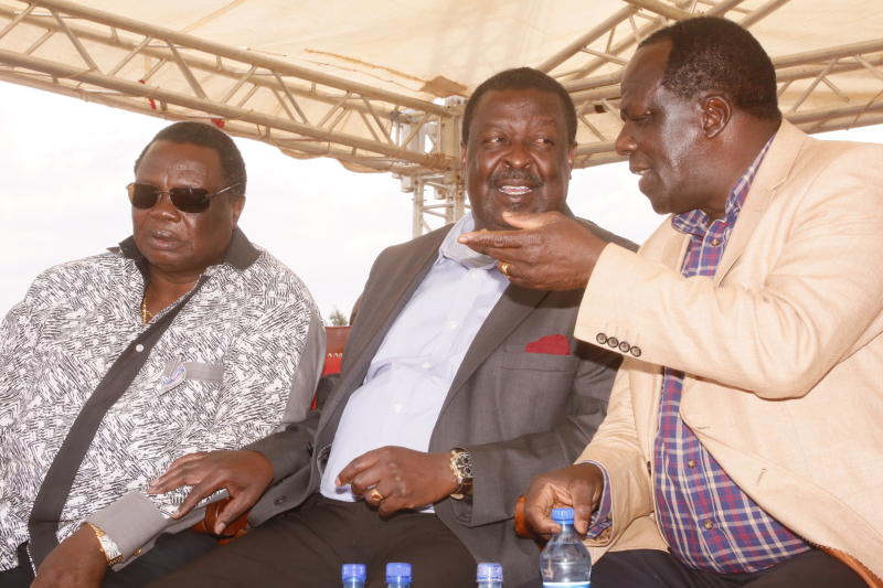 Fights among leaders, cultural clashes imperil Luhya unity bid
